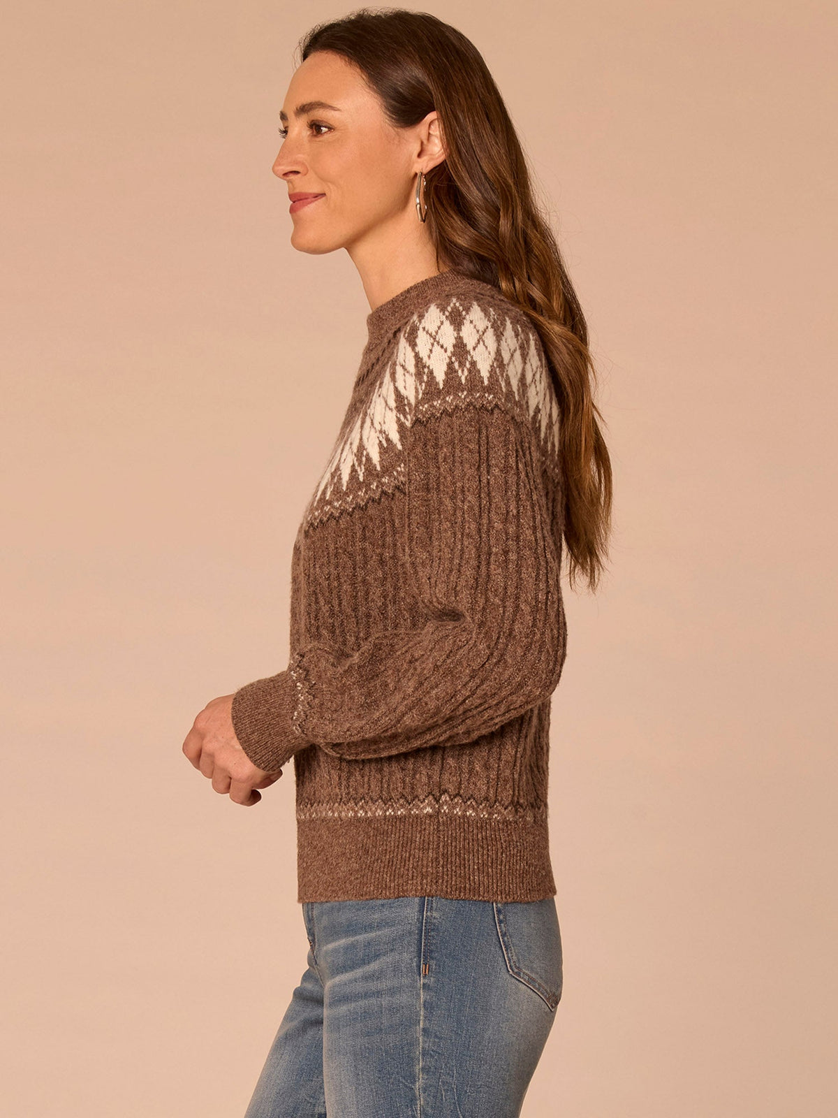 Democracy Clothing Long Blouson Sleeve High Round Neck Fair Isle Argyle Plus Size Sweater - Heather Brown Multi
